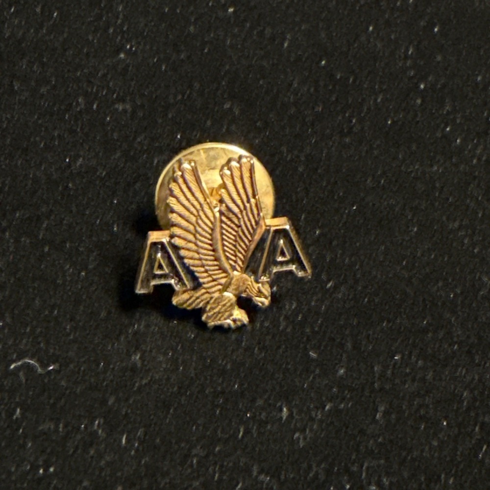 Vintage American Airlines Eagle Employee Black & Gold Service Pin